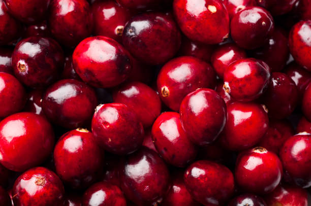 Cranberry Cranberry background.  Please see my portfolio for    other berry and food related images. superfruit stock pictures, royalty-free photos & images