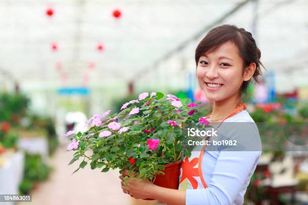 Hübsche Florist In Ihrem Geschäft Stockfoto und mehr Bilder von 20-24 Jahre - 20-24 Jahre, Arbeiten, Asiatischer und Indischer Abstammung