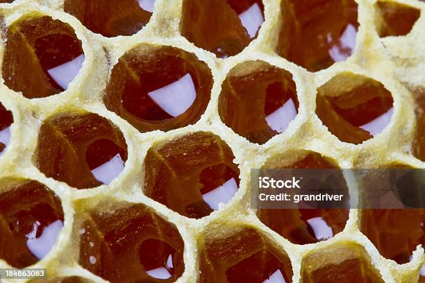 Honigfarben Nahaufnahme Stockfoto und mehr Bilder von Bienenwabe - Bienenwabe, Bienenwachs, Extreme Nahaufnahme