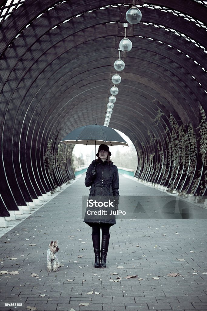 Mulher com Guarda-chuva e cão - Royalty-free Adulto Foto de stock