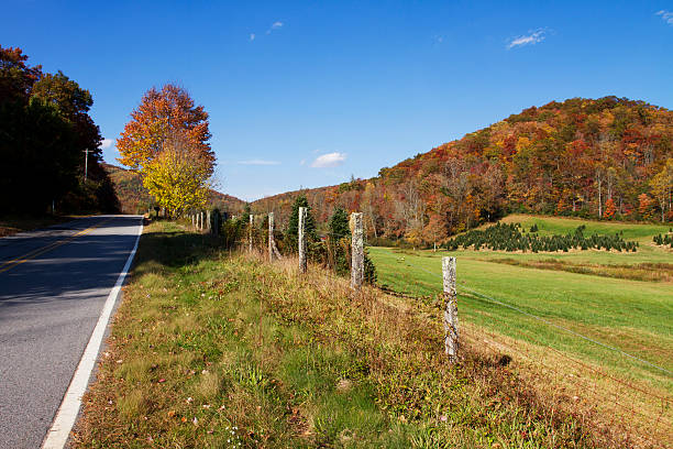 istock Roadside fall colors in western North Carolina 184863536