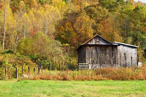 istock Rural shed in North Carolina hillside during fall 184863544