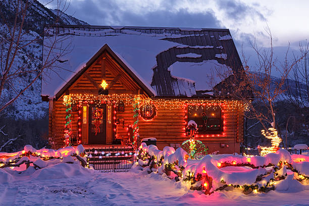Subject: An outdoor Christmas tree decorated with lights and ornament in front of a residential home.
