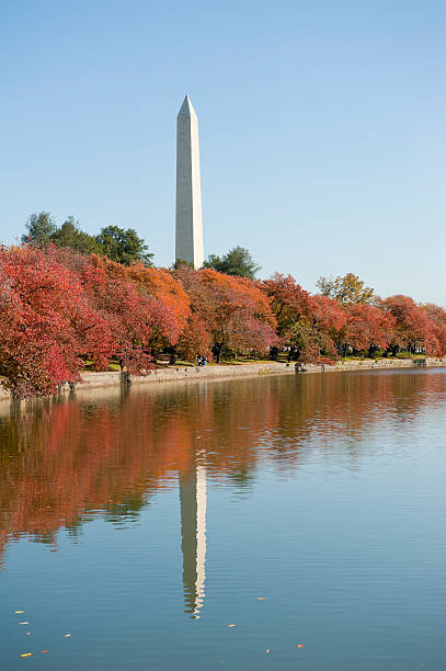 istock Washington monument at the mall, in DC with colorful tree 184864646