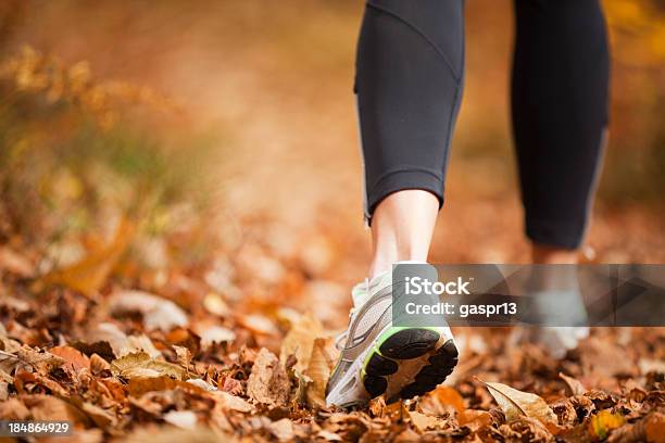 Autumn Running Stock Photo - Download Image Now - Racewalking, Autumn, Walking