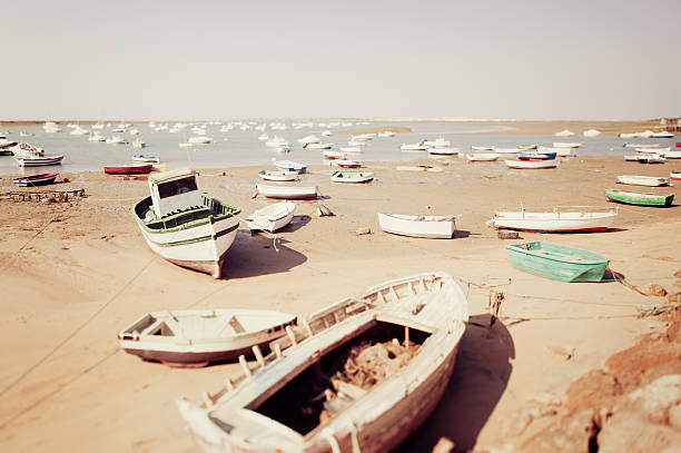 seashore durante a maré baixa - kutter - fotografias e filmes do acervo