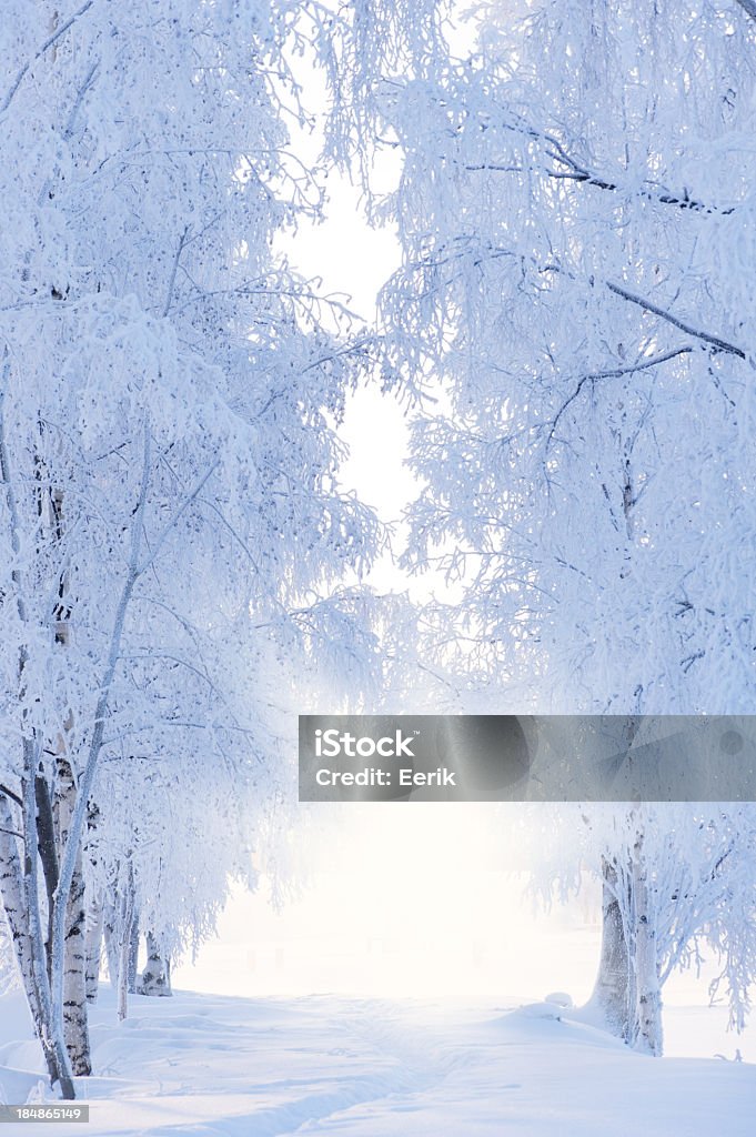 Zimowy krajobraz - Zbiór zdjęć royalty-free (Zima)