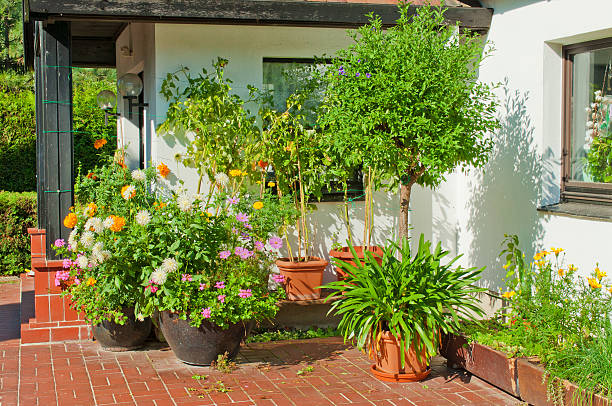 istock Colorful garden in a backyard 184865465