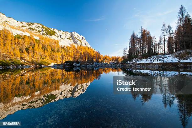 Reflejo A Las Montañas Foto de stock y más banco de imágenes de Agua - Agua, Aire libre, Alerce - Árbol de hoja caduca