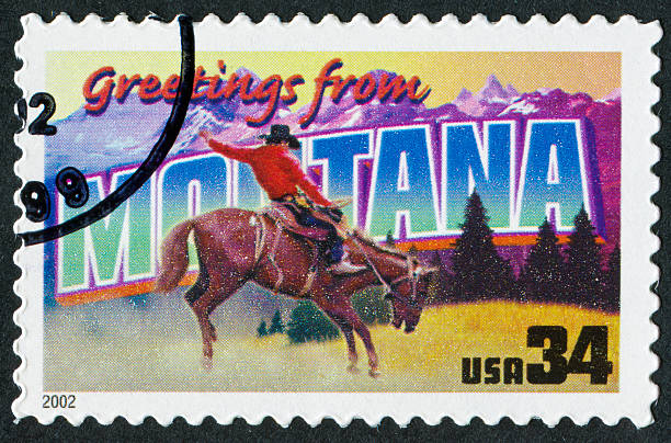 montana pieczęć - rodeo cowboy montana bucking bronco zdjęcia i obrazy z banku zdjęć