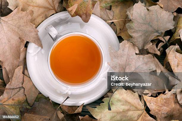 Chá - Fotografias de stock e mais imagens de Bebida - Bebida, Branco, Caneca