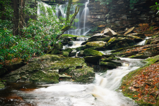 Elakala Falls in Blackwater Falls State Park, West Virginia.  Slight motion blur can be seen in the vegetation from the long exposure.