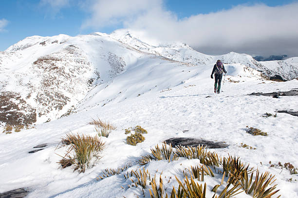 istock Solitude of the Hills 1 184868174