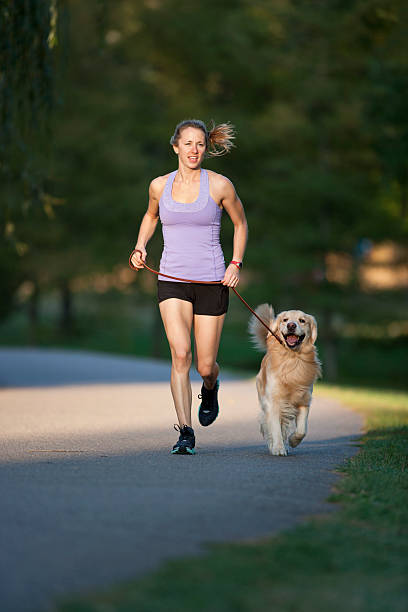 istock Runner and Golden Retriever 184868213