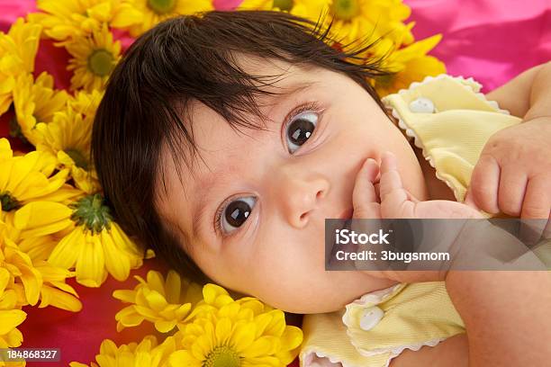 Dolce Bambina Con Grandi Occhi Marroni E Fiori - Fotografie stock e altre immagini di 0-1 Mese - 0-1 Mese, 2-5 Mesi, Bambine femmine