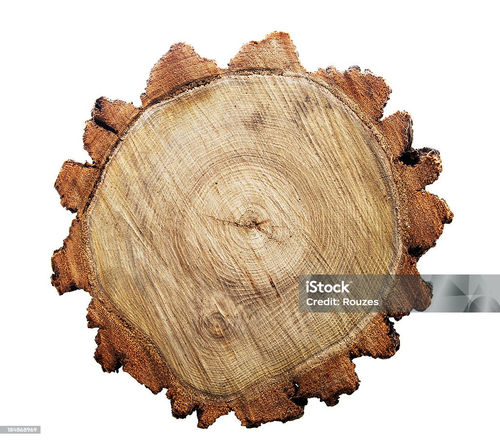 Vue de dessus d'une souche d'arbre - Photo de Arbre libre de droits