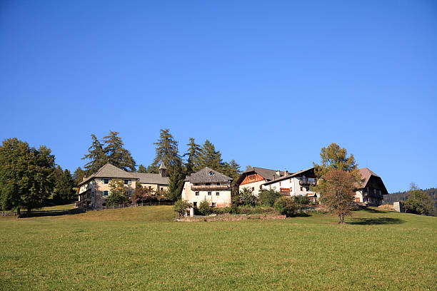 istock Farm ensemble in the Alps 184869043