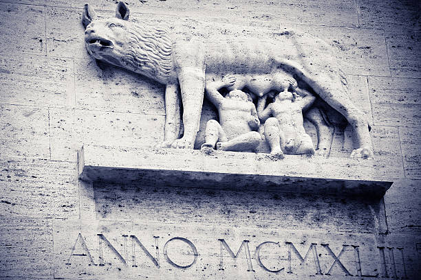 Copy Right Free Rome Wolves 120+ Wolves Roman Empire Stock Photos, Pictures & Royalty-Free Images ...
