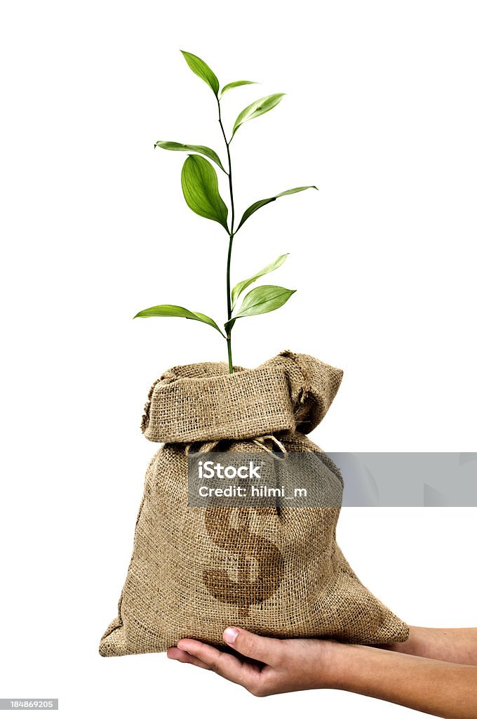 Geld Baum und Geld Tasche mit Dollar in der Hand - Lizenzfrei Geld wächst nicht auf Bäumen Stock-Foto