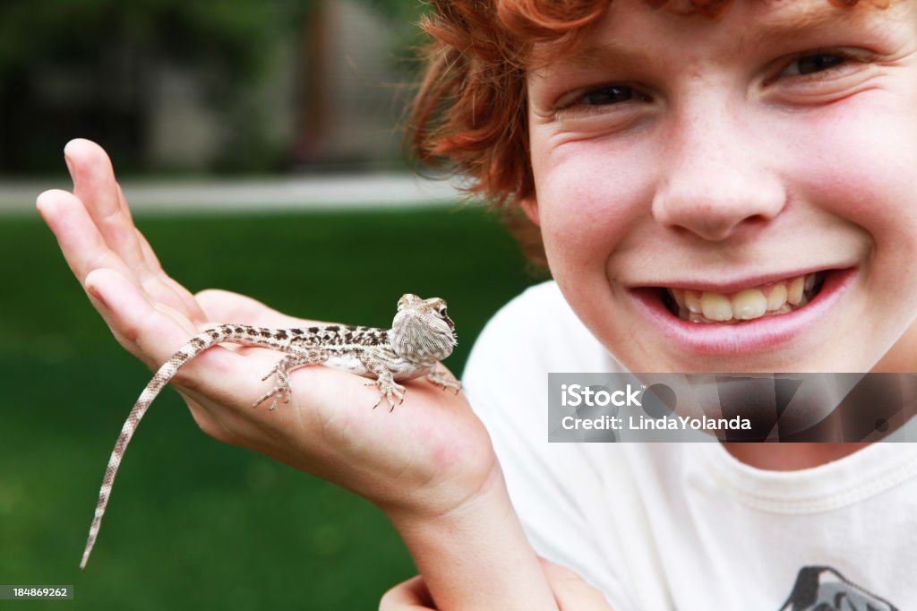 Close up Young boy in garden, smiling, holding small lizard A boy smiles at the camera as he holds his baby bearded dragon outside. Child Stock Photo