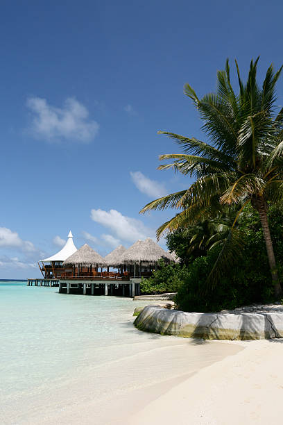 istock French Polynesian Islands Luxury Hotel Resort Huts 184869422