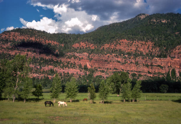 North of Durango Colorado - 1990