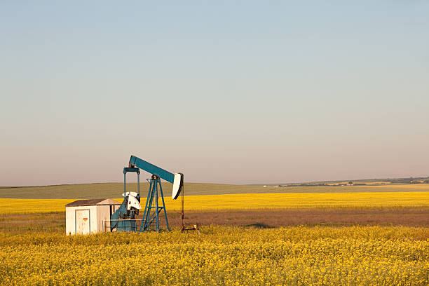 pumpjack in 카놀라 - oil pump oil alberta canola 뉴스 사진 이미지