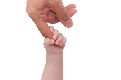 A child's hand holding an adult's hand.