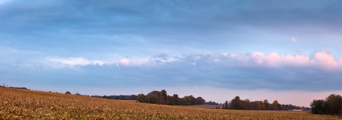 Panoramic farm showing harvested corn crop in the fall