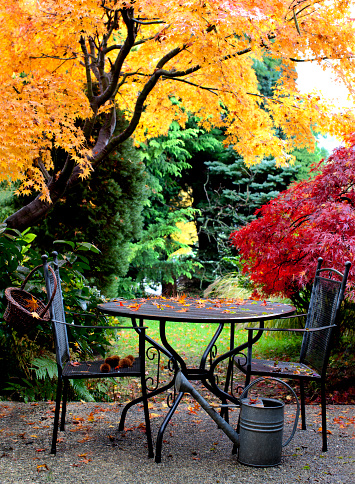A set of garden furniture set in a garden with colorful foliage.