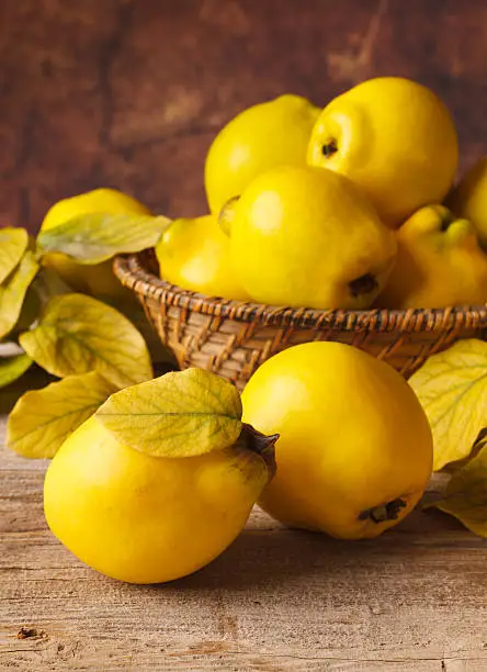"Still life with Quinces, yellow leafs,Shallow DOF.Please see some similar pictures from my"