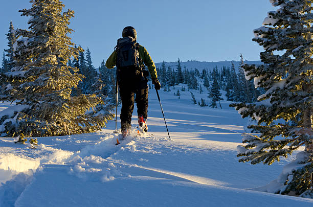 istock Skier Skinning at Sunset with Warm and Cool Light 184871106