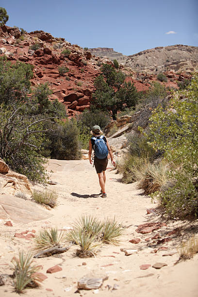 istock woman hiking in a dry desert streambed 184871114