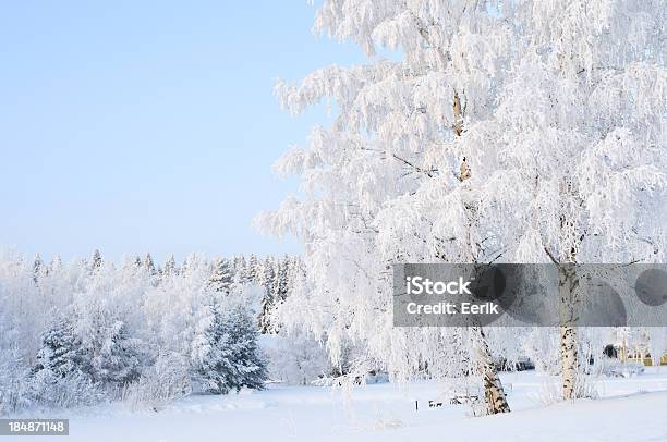 Winter Landscape Stock Photo - Download Image Now - Winter, Forest, Finland