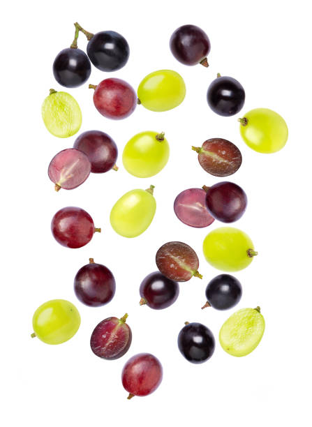 istock Grapes flying in the air isolated on 1848715454