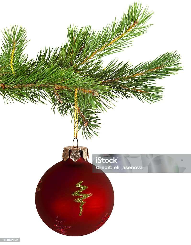Рождественская ёлка - Стоковые фото Побег роялти-фри