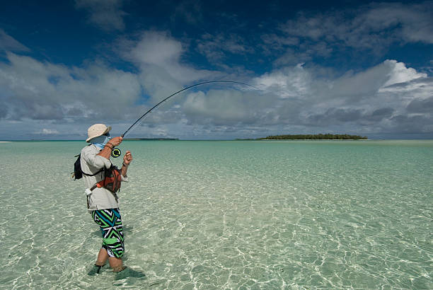 la pesca del pez hueso - bonefish fotografías e imágenes de stock