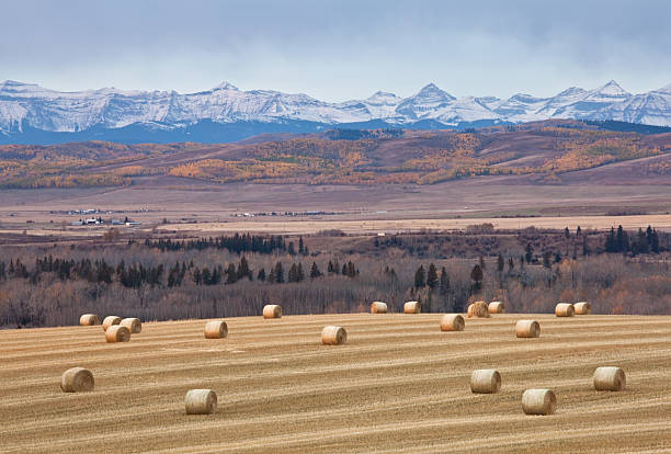 alberta foothills - okotoks stock-fotos und bilder