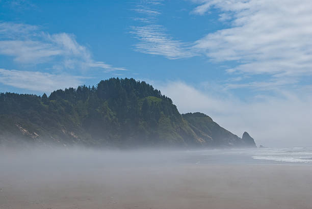 Heceta Head in the Fog The landscapes and seascapes of the Pacific Coast are a constant source of inspiration for photographers. This picture of Heceta Head in the fog was photographed from Heceta Beach at Carl G. Washburne Memorial State Park near Florence, Oregon, USA. jeff goulden oregon coast stock pictures, royalty-free photos & images