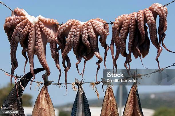 Squid И Mackerell Сушка На Солнце — стоковые фотографии и другие картинки Без людей - Без людей, Выборочная фокусировка, Головоногие