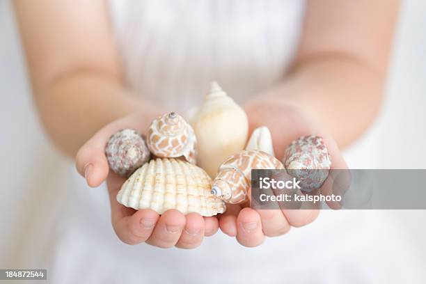 Holding Conchiglie - Fotografie stock e altre immagini di Guscio di animale - Guscio di animale, Sfondo bianco, Bambino