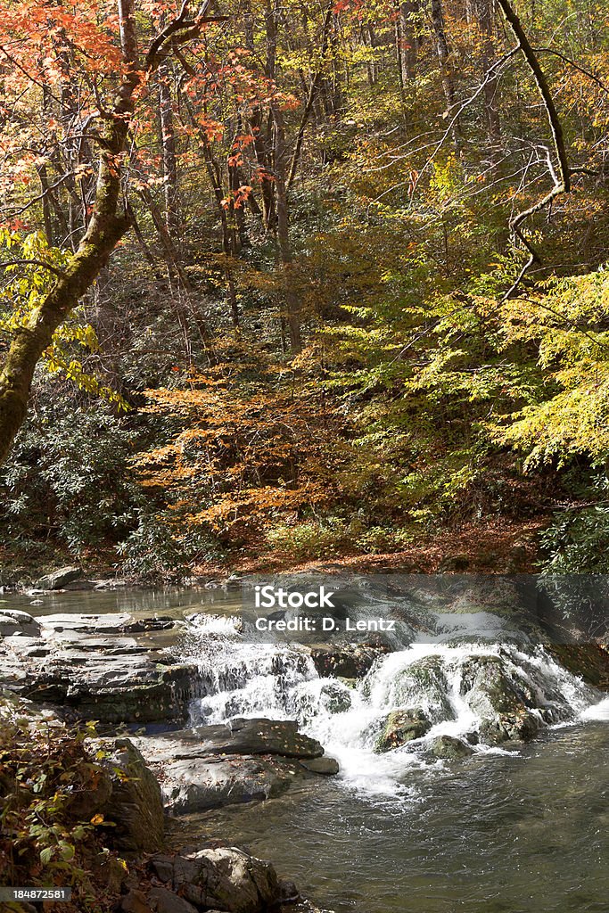 Herbst-Stream - Lizenzfrei Appalachen-Region Stock-Foto