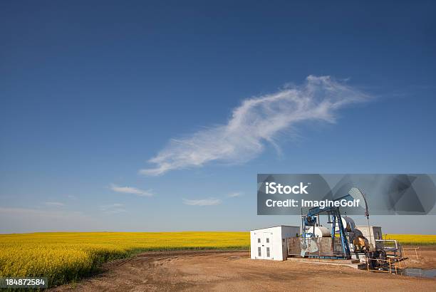 Pumpjack にキャノーラ - アルバータ州のストックフォトや画像を多数ご用意 - アルバータ州, 天然ガス, カナダ