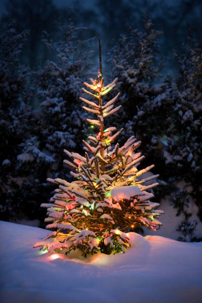 istock Christmas tree with fresh and fluffy snow 184873161