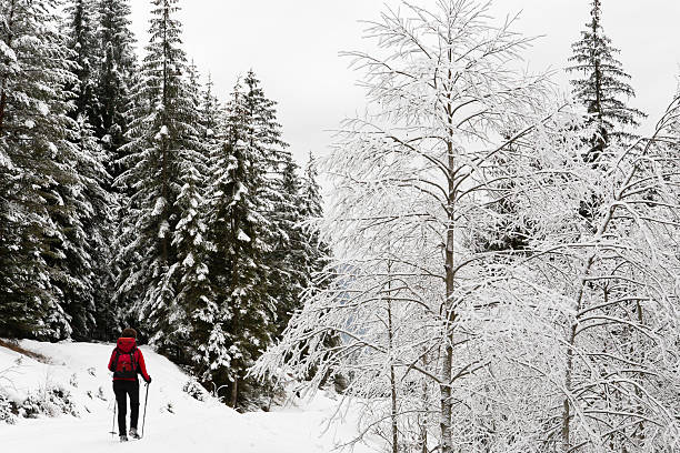 istock Walking in Val di Fassa, Italy 184873257