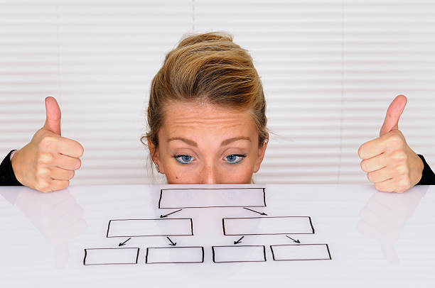 Funny Org Chart Stock Photos, Pictures & Royalty-Free Images - iStock
