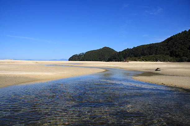istock Abel Tasman National Park 184873402