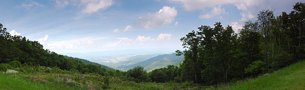 vista de primavera - treelined tree shenandoah river valley blue ridge mountains imagens e fotografias de stock