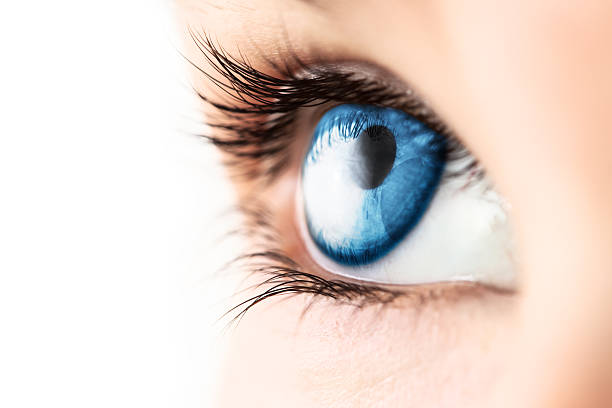 nahaufnahme von blauen auge mit wimpern - blaue augen stock-fotos und bilder