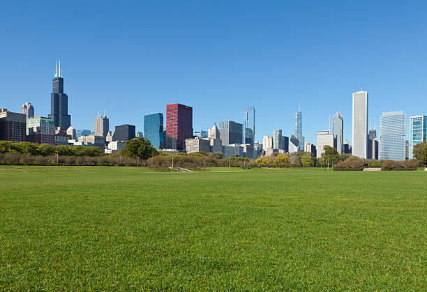 Chicago Downtown Chicago skyline  with Sears Tower and other famous skyscrapersCheck out my Chicago Lightbox with more images: grant park stock pictures, royalty-free photos & images
